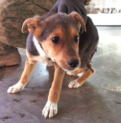 Иркутск 901/25