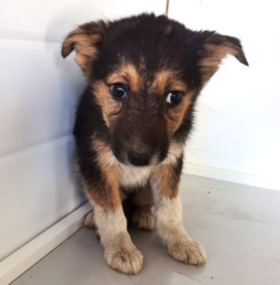 Иркутск 902/25