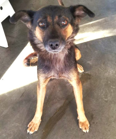 Иркутск 903/25