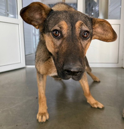 Иркутск 904/25