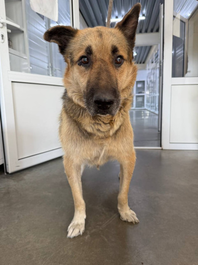 Иркутск 905/25