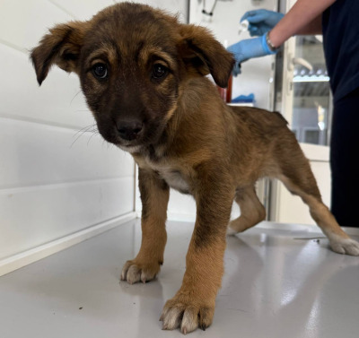 Иркутск 908/25