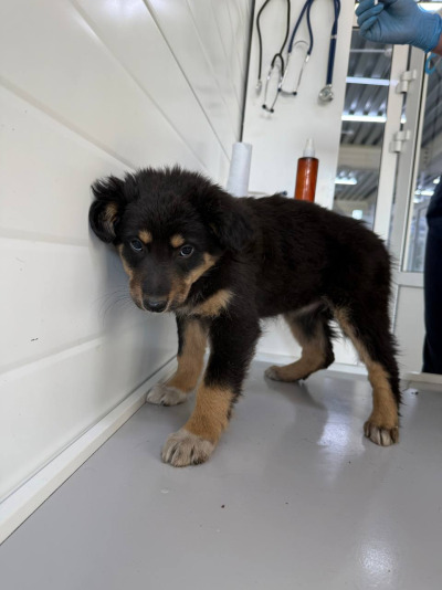 Иркутск 910/25