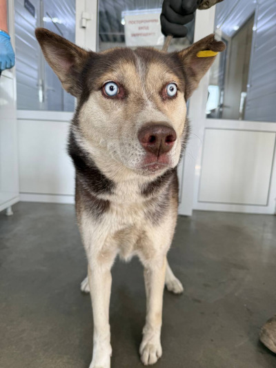 Иркутск 911/25