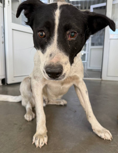 Иркутск 915/25