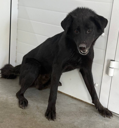 Иркутск 916/25