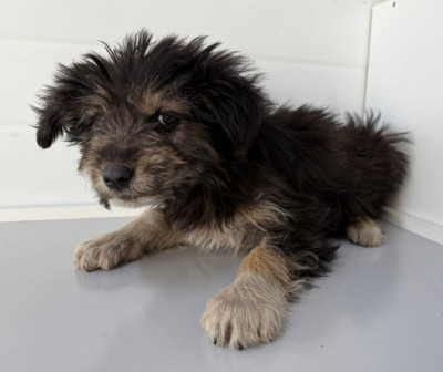 Иркутск 917/25