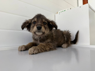 Иркутск 918/25