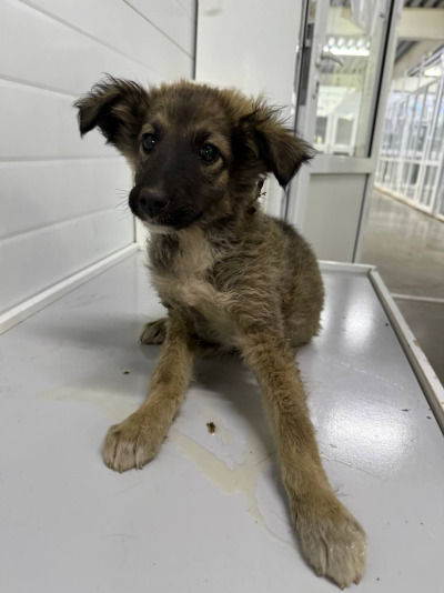 Иркутск 924/25