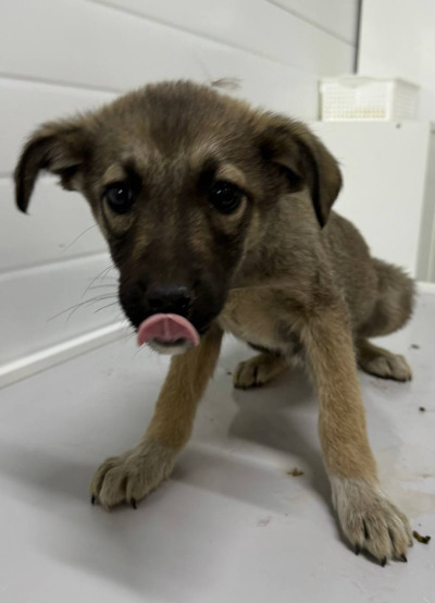 Иркутск 925/25