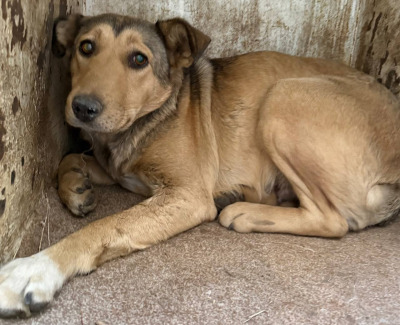 Иркутск 926/25 