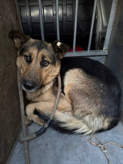 Иркутск 927/25