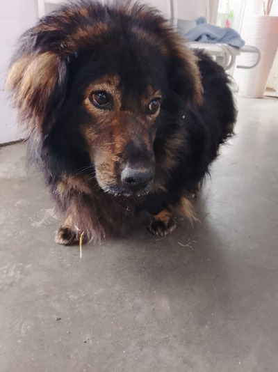 Иркутск 929/25