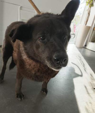 Иркутск 930/25