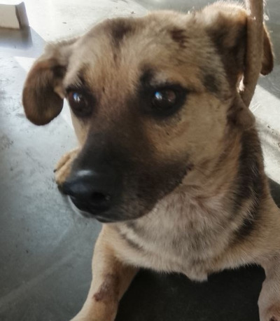 Иркутск 933/25