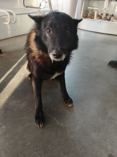 Иркутск 935/25