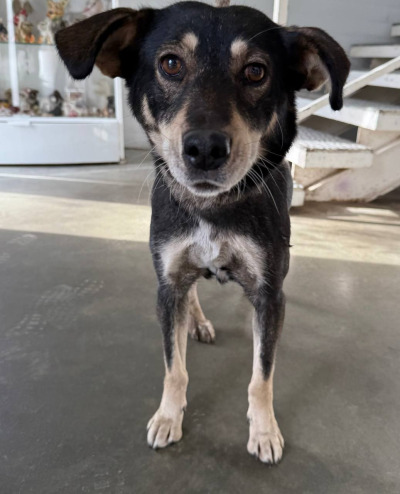 Иркутск 936/25