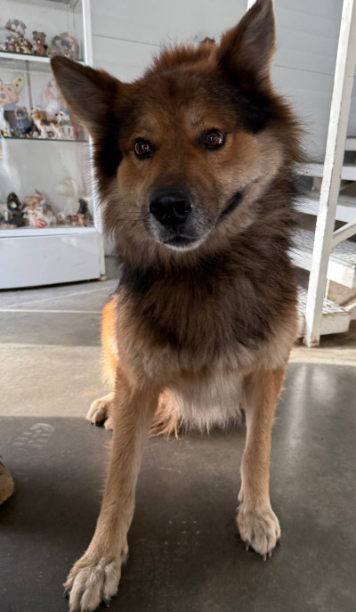 Иркутск 937/25