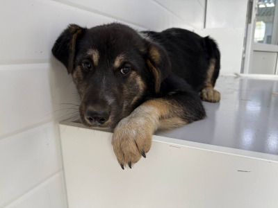 Иркутск 939/25