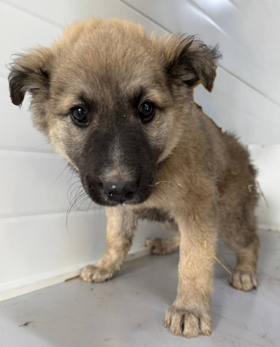 Иркутск 940/25