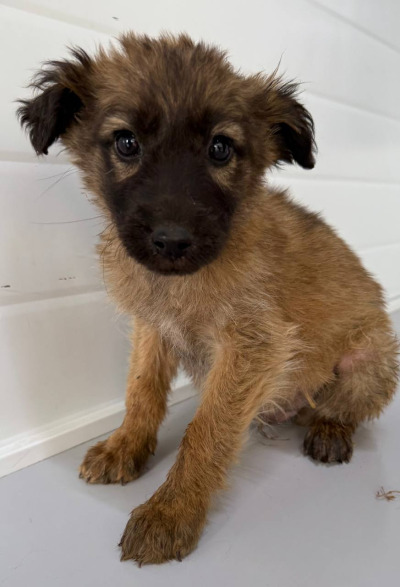 Иркутск 942/25