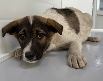 Иркутск 943/25