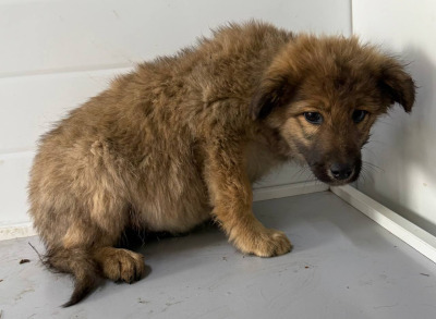 Иркутск 944/25