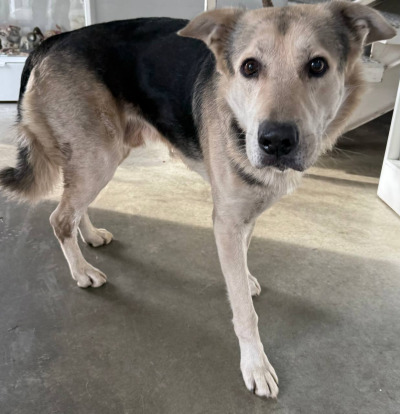 Иркутск 947/25