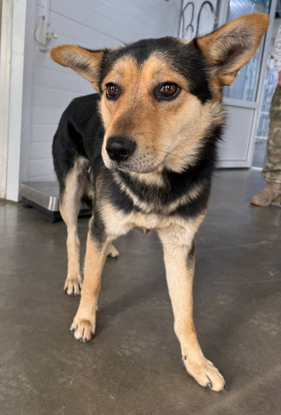 Иркутск 948/25