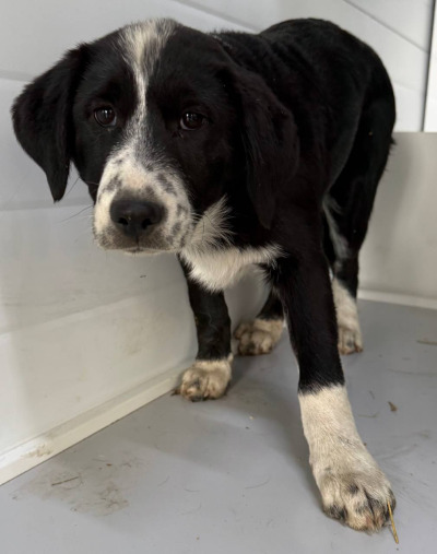 Иркутск 950/25