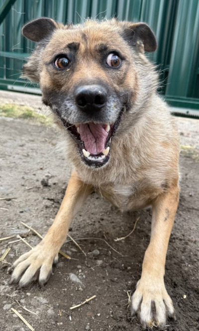 Иркутск 951/25