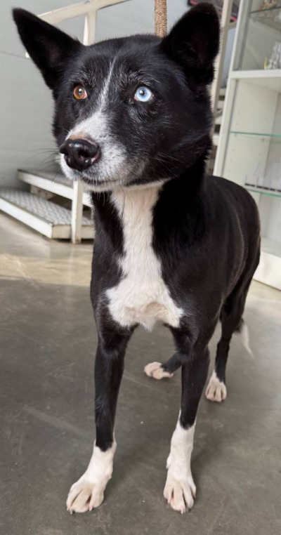 Иркутск 952/25