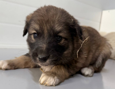 Иркутск 957/25