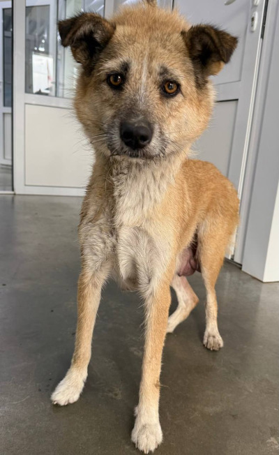 Иркутск 958/25