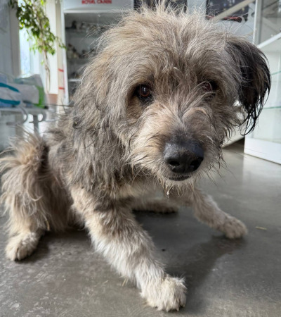 Иркутск 959/25