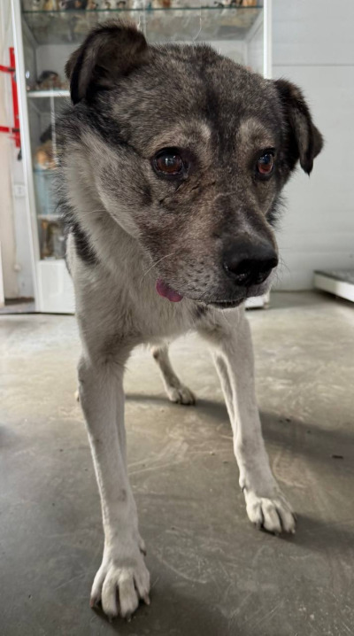 Иркутск 960/25