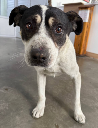 Иркутск 962/25