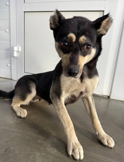 Иркутск 963/25