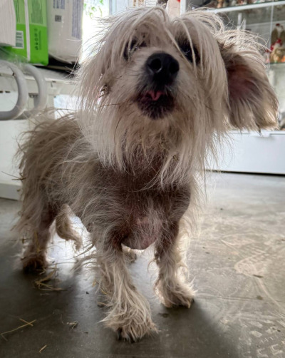 Иркутск 964/25