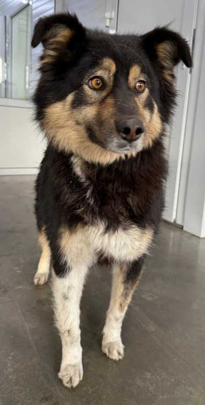 Иркутск 965/25