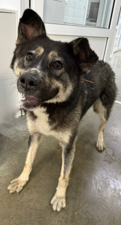 Иркутск 968/25