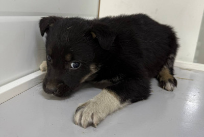 Иркутск 969/25