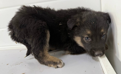 Иркутск 970/25