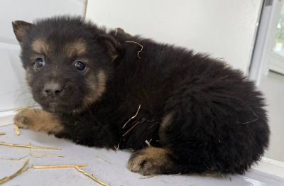 Иркутск 971/25