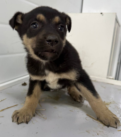 Иркутск 973/25