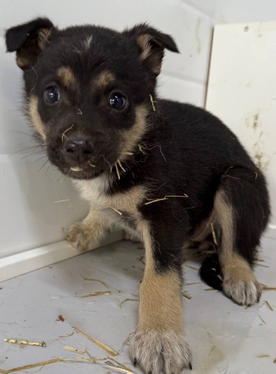 Иркутск 974/25