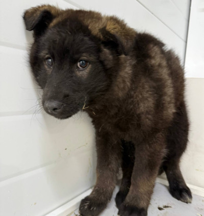 Иркутск 975/25