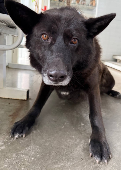 Иркутск 976/25