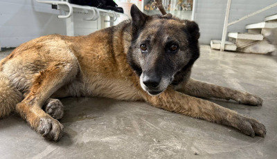 Иркутск 977/25