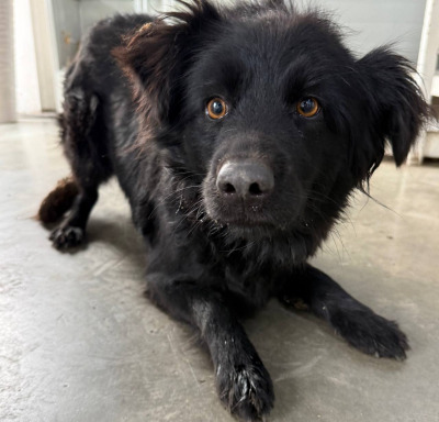 Иркутск 978/25